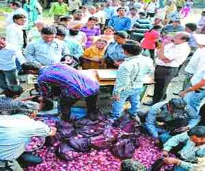 UT administration set up stalls to sell potato and onion
