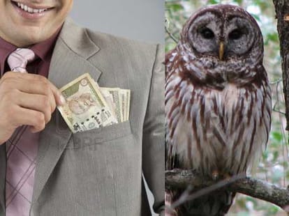 dipawali totke owl laxmi