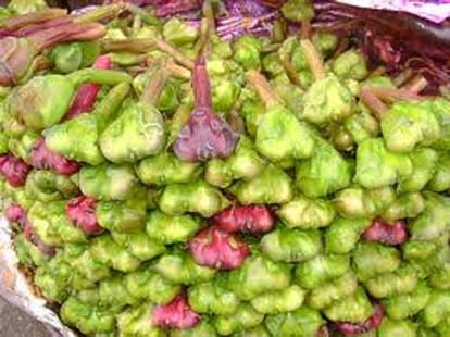 laxmi mata prasad 