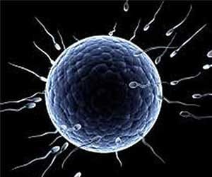 men is Responsible for infertility case