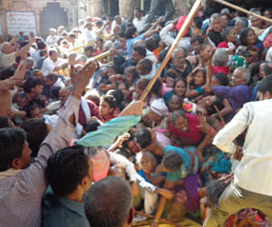 stampede in barsana temple