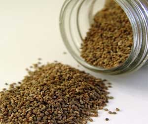 health benefits of celery seeds
