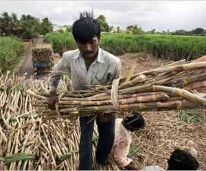 sugarcane farmers in problem