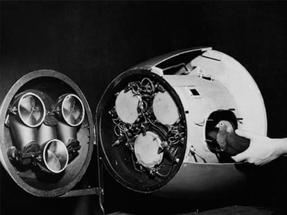 ten weird bombs of the world