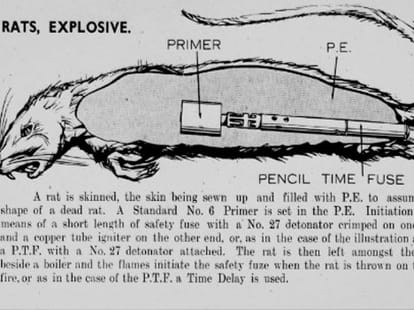 ten weird bombs of the world