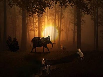 15 Interesting Facts about Dreams