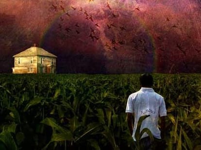 15 Interesting Facts about Dreams