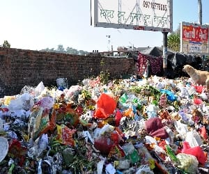 scavenging plan destroy in dehradun