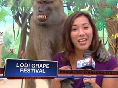 sex in animal kingdom