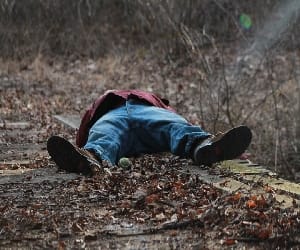 animal killed a boy at kinnaur.