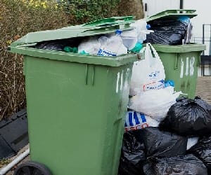 dustbin stolen
