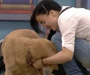 dogs in big boss house