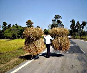 chhattisgarh_assembly_election