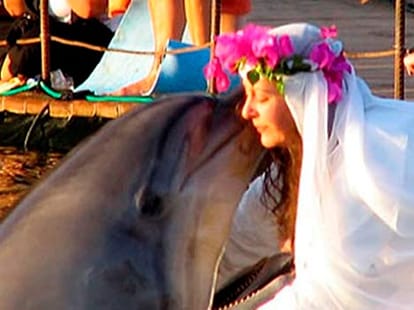 human marry animals