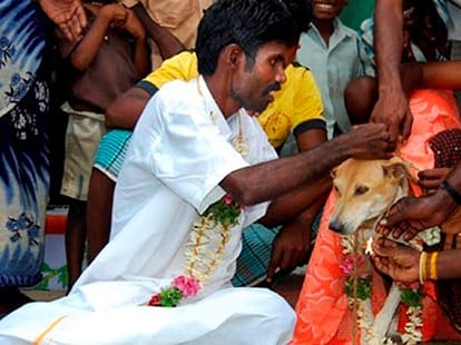 human marry animals