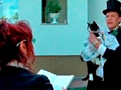 human marry animals
