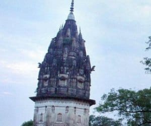 pil dismissed of doundiyakheda treasure