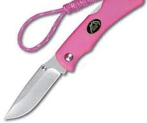 Carjackers give woman knife for protection after stealing her car