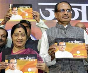 bjp_manifesto_election