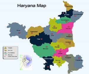 girls win in roller skating