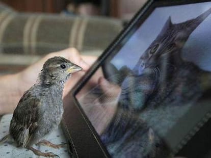 An Unusual Friendship