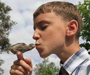 sparrow is symbol of peace.