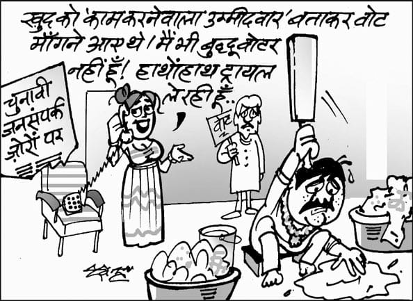 assembly election