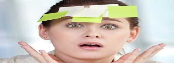 junk food can harm memory