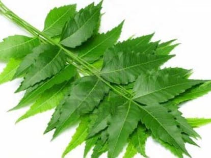 menstrual pain home remedies