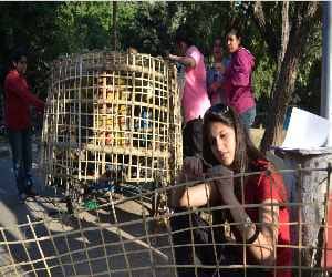Chandigarh_carnival_leisure valley_sector 10