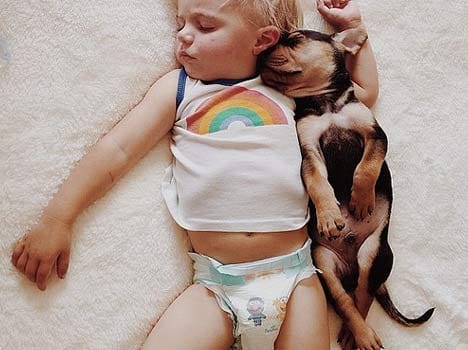 baby girl mauled to death