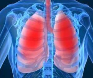 No Damage of Lungs after Asthama, Know How?