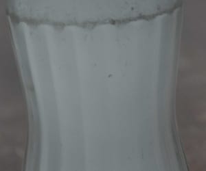 fungus in soft drink, complain ragistered