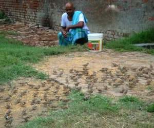 sparrowman of bihar creates the difference