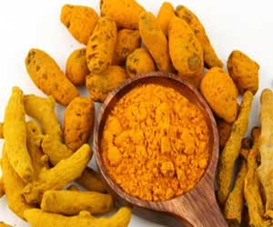 turmeric cures in malaria