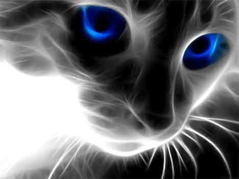 sixth sense story animal