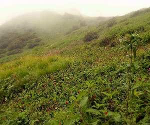 chepap ghati in chamoli