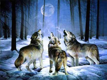 sixth sense story animal