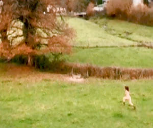 French weathergirl, stuns viewers, nude report