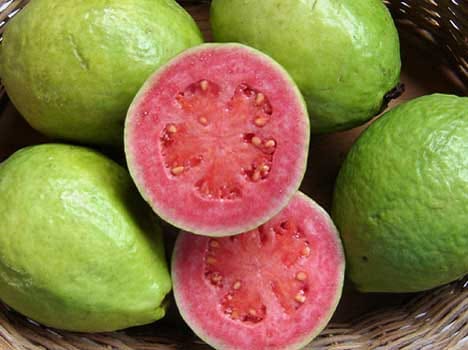 guava health benefits winters
