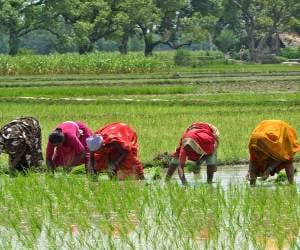 woman farmers raise voice for rights