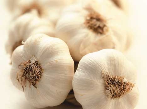 garlic paste for hairs_pp