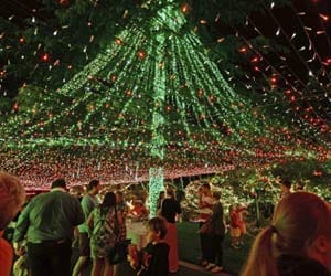 cristmas_world_record