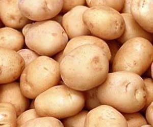 potato prices began to fall 