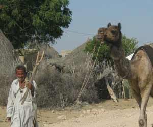 rajasthan election_muslim voters