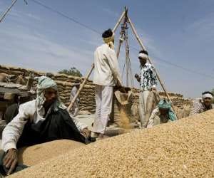 wheat for poors of uttar pradesh