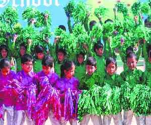 fiesta 2013_annual function_manav mangal_school