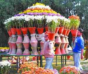 today in lucknow