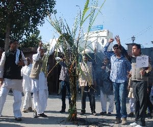 sugar cane farmer protest