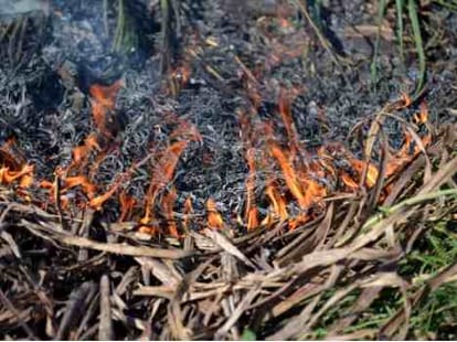 farmers and sugercane issue in uttar pradesh